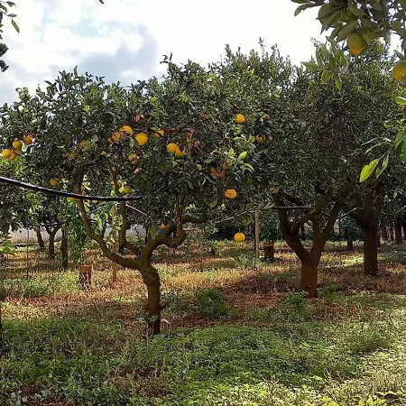 Baglio Spano - Antiche Dimore Di Sicilia Petrosino