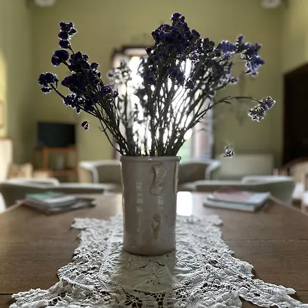 Bed & Breakfast Baglio Spano - Antiche Dimore Di Sicilia Petrosino