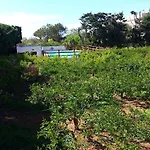 Oda ve Kahvaltı Baglio Spano - Antiche Dimore Di Sicilia Petrosino