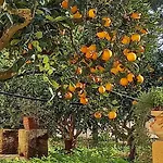 Baglio Spano - Antiche Dimore Di Sicilia Oda ve Kahvaltı 4*