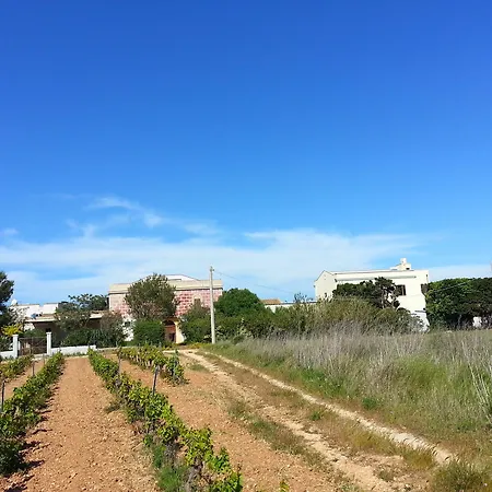 住宿加早餐酒店 西西里岛老房子 - 巴格里奥斯帕诺乡村民宿 4*